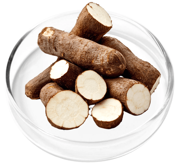 Wild Yam